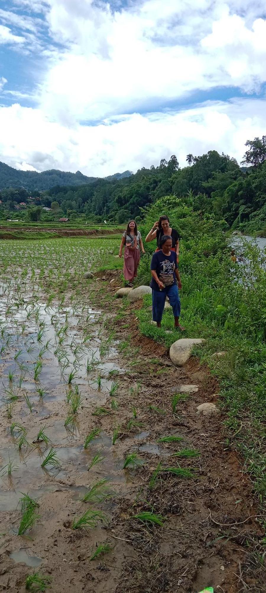 Toraja Sanggalangi Homestay Rantepao Esterno foto